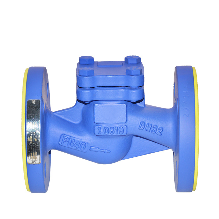 lift check valve