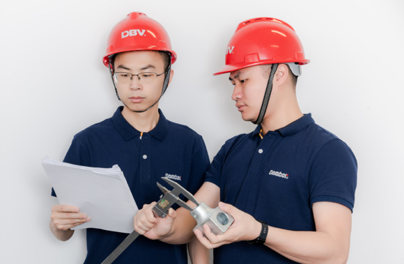 inspection of datas