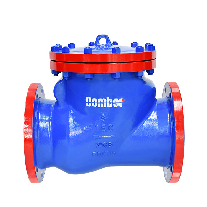 swing check valve