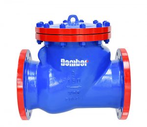 check valves